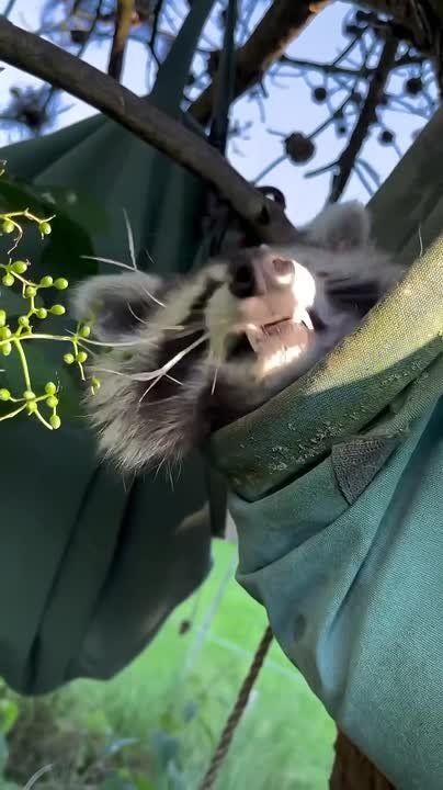 ������ ����, ������! �������� ��� ��� � ��������� ����������!