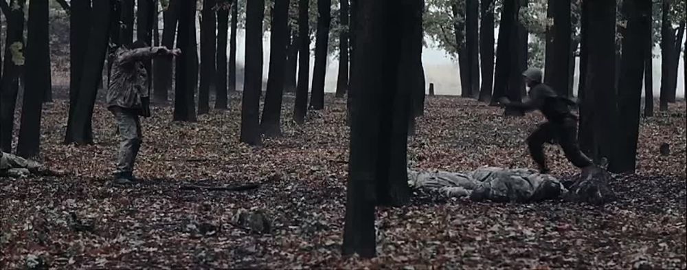 ������ � ��� ������ � ����� ��� �����-������������ �������� �������� � 2025 ����