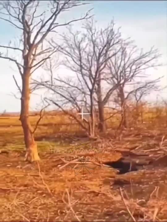 ����������� �����. ������� ����������� ����� ������ �������� ���� ������ ���� "������" 19-������ ������ � ���� �� ������ ����� ��������� ����. ������������ �������� �� ��������� ������. ��� ��� ��������� ���� � ����������...