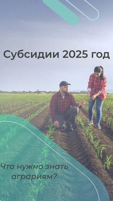 ��� �������� �������� � 2025 ����?