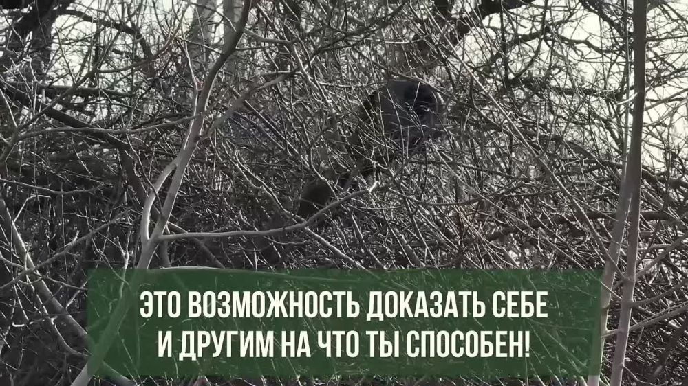 ������ �� ��������� � ����������� ����� ������ ������� ��������������