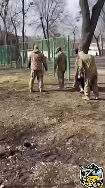 �������� �������������� �������