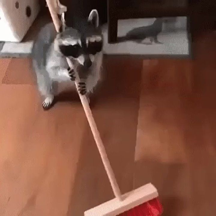 ������ ����, ������! �������� ��� ��� � ��������� ����������!