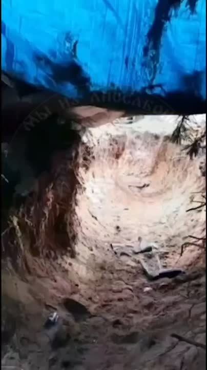 56-� ����������� ��������-��������� ���� �������� ������ �� ������������ �������, ������� �������