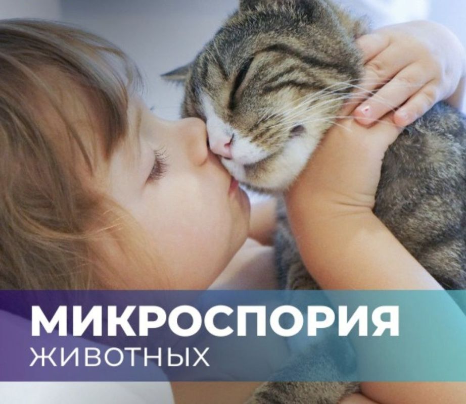 �����������, ��� ���������� ����� � �����������, ����� ��� �������� � ��������