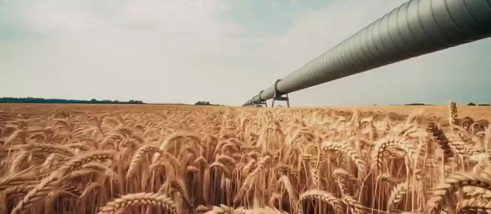 "��������� ���������� ��� - ����� � ��� �� ����� ��� �������"
