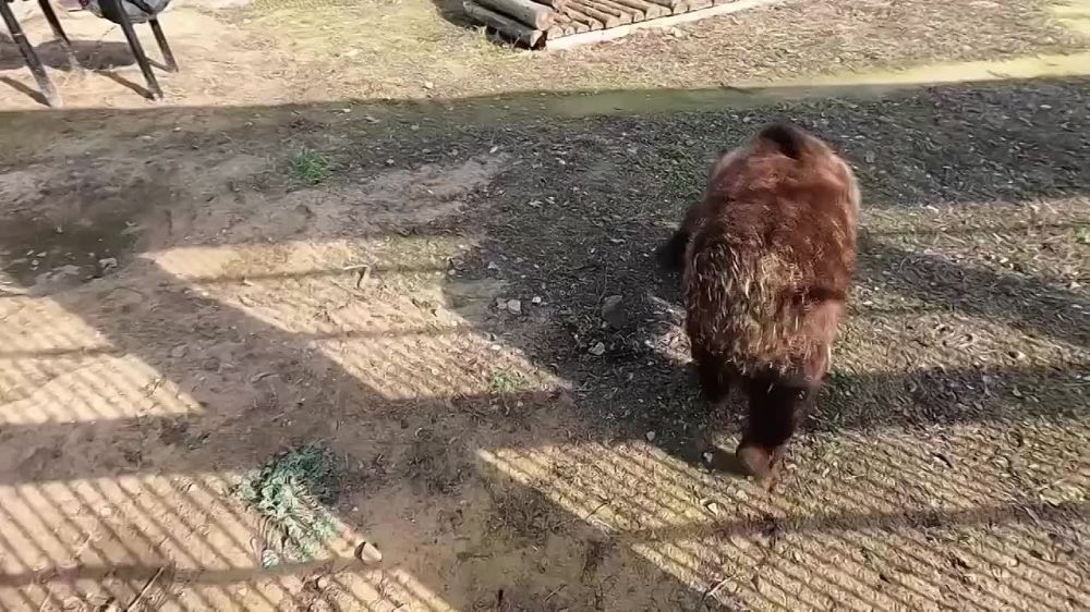 #* �������� ���������� �������� �� �������� � ����� ����: