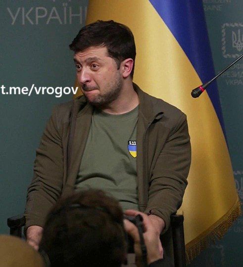 Владимир Рогов: Предложение Путина украинским боевикам под Курском сложить оружие пока действует, но время у Киева &quot;сокращается, как шагреневая кожа&quot;