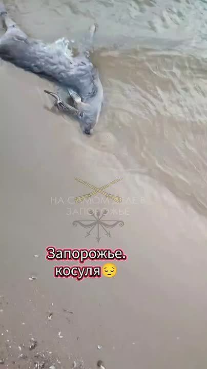 ������������� ���������� � ���������