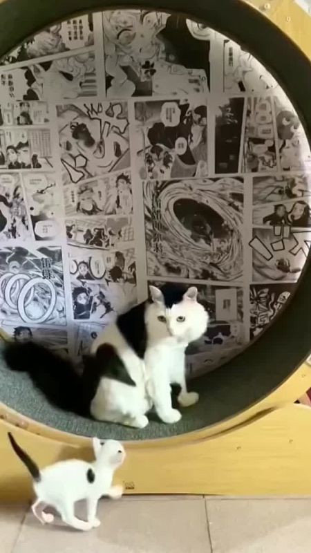 �������� ����������� ���������