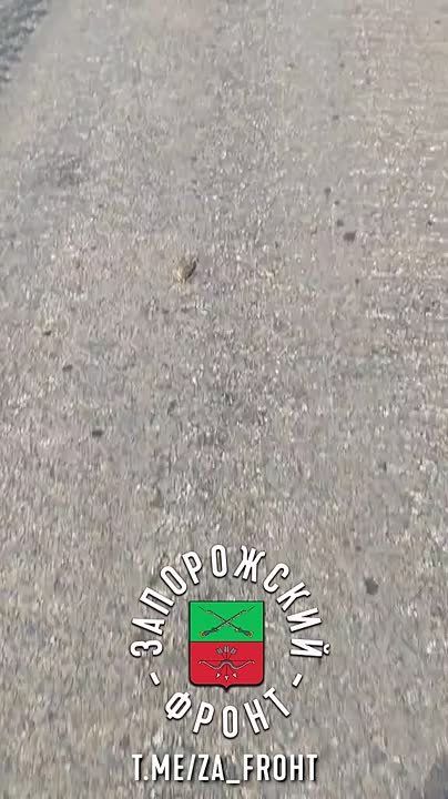 ����� �� ������� ����������