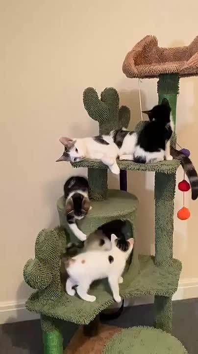 �������� ��� � ��� �����