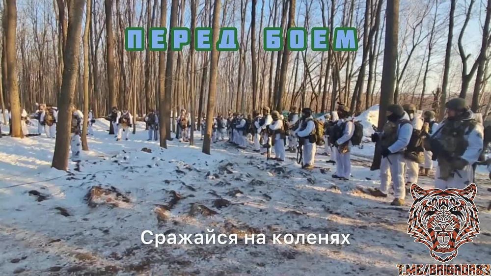 � ����� ����� �������� ������� ������
