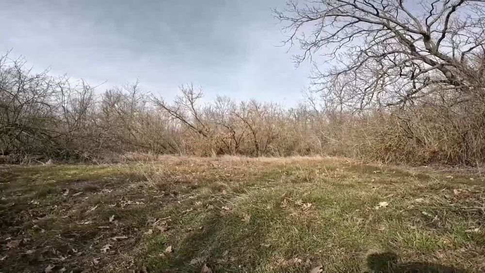 Украинские военные продолжают сдаваться в плен на Запорожском направлении