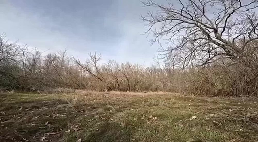 � ���� ����������� �� �� �� ����������� ����������� ���������� ������� ������� � ����