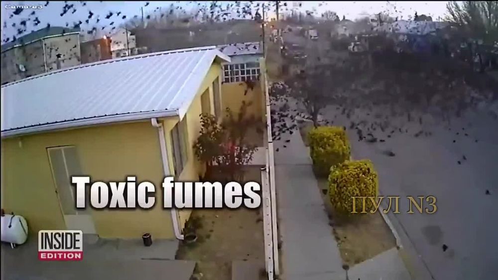 � ������� ����� ������� �������� � ���� � �������: