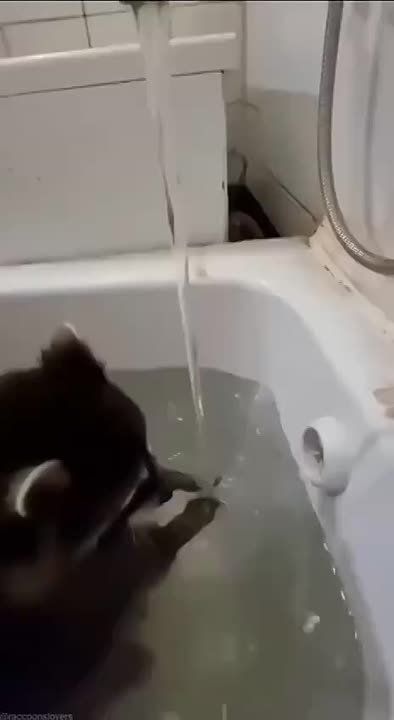 ������ ����, ������! �������� ��� ��� � ��������� ����������!