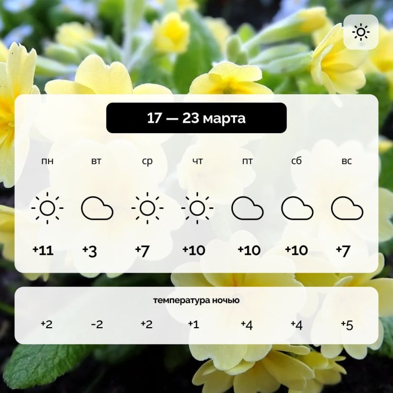 ������ � ����������� ������� �� 17� 23 �����