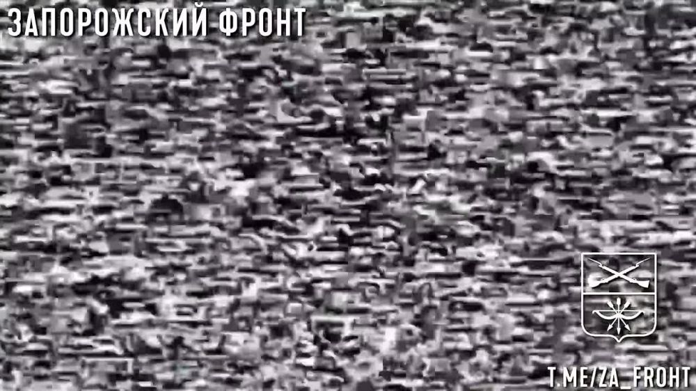 Расчет дроноводов 291 мсп продолжает разбирать опорники ВСУ на Запорожском направлении