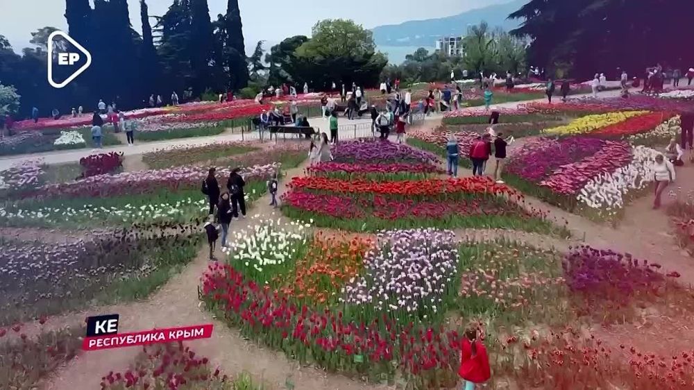 11 лет - едины!. 18 марта 2014 года в Крыму прошёл референдум, на котором большинство жителей поддержали присоединение полуострова к России