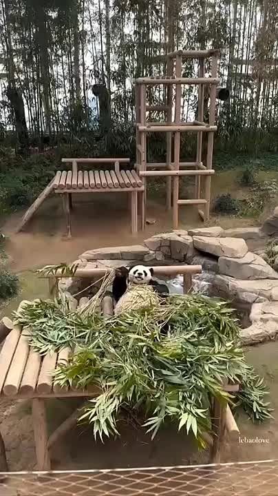 ���������� � ��������� ��� ���� ������� ����!