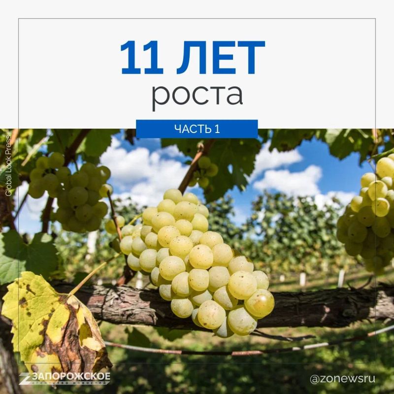 ������ � ��� ����������� � ����������� ��������, � �� 11 ��� �������� ������ ������� ������ ���� ������