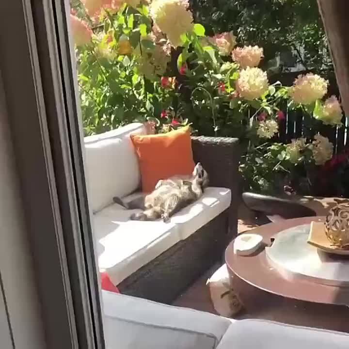 ��������� �����, ��������� ���� �����, ������!