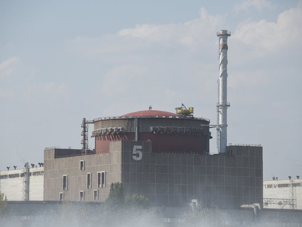 FT: США хотят использовать контроль над ЗАЭС для добычи редкоземов