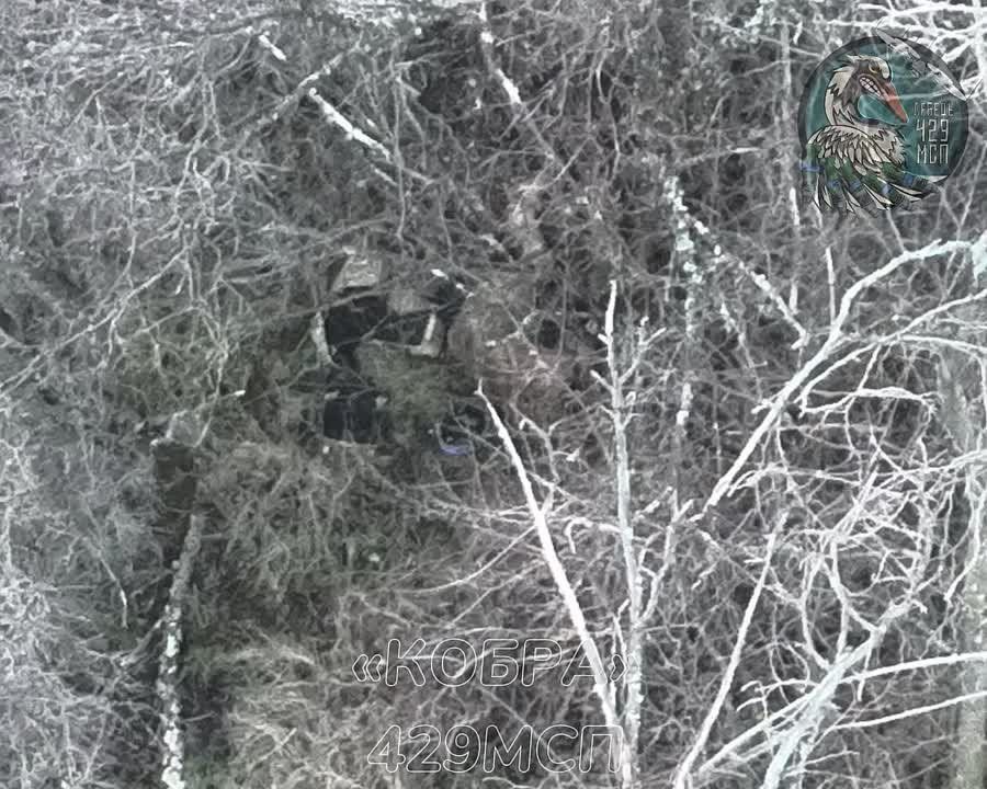 ��������� 429 ��� "�����" ���������� ��������� ������ ������ ���������� �� ����������� �����������