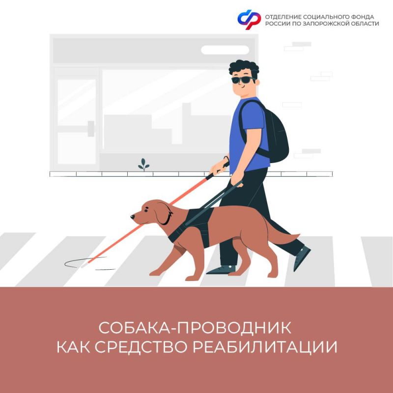 ��� �������� ������-��������: ����������� ��� ������� ����������� �������