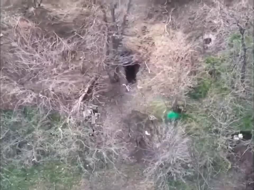 ������� ��� ����������, ������ ��� �������������