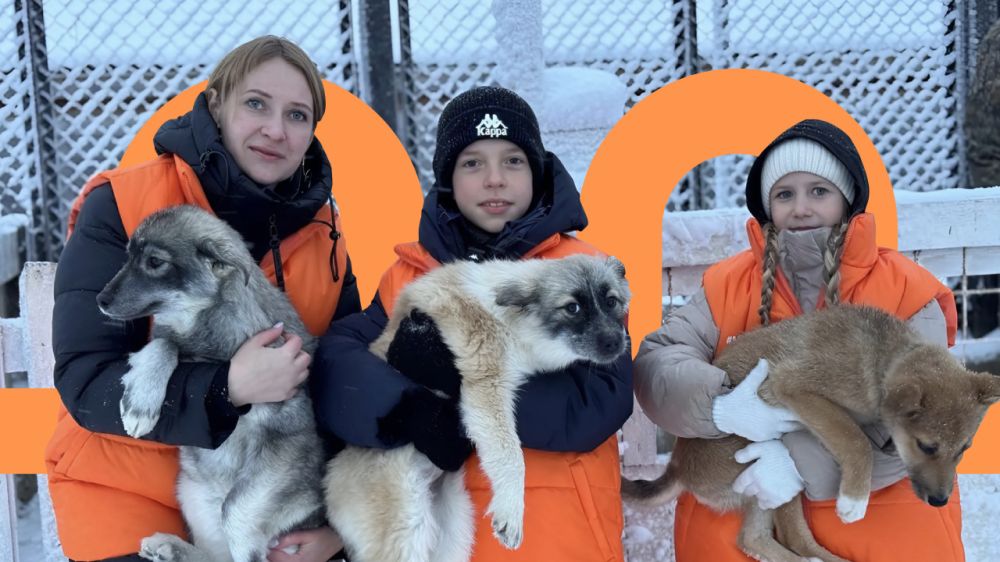 ������� ����������: �� 5 ��� ����������� ������� #�������� ����� ����� �������� ���������