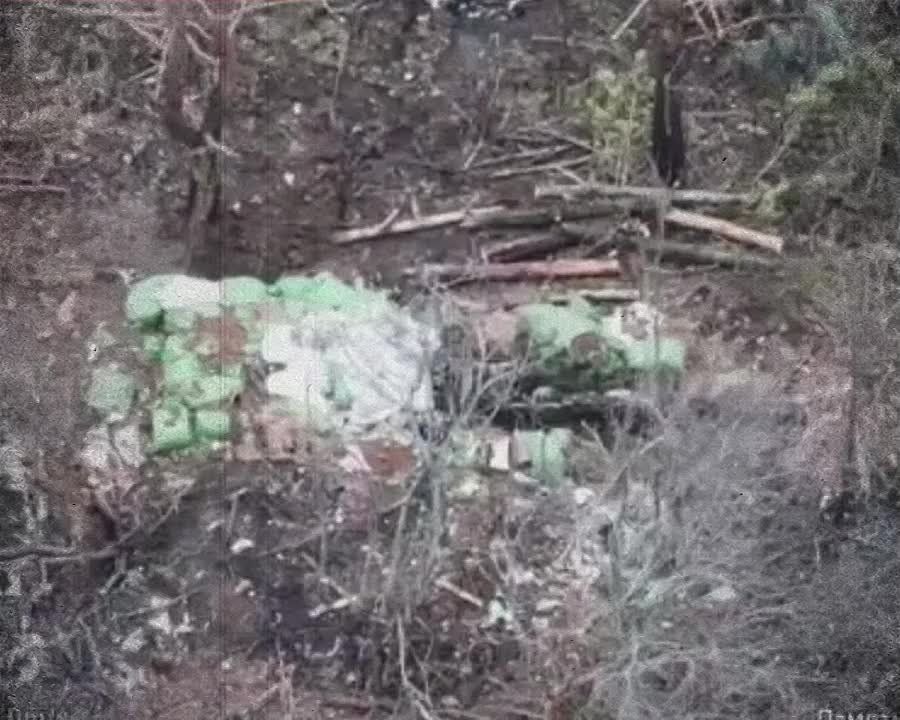 ������� ���������� ������������� �������� � ��� � ����