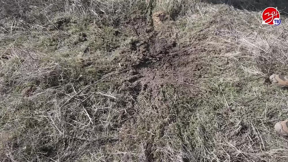 ������ �� ������������� ������������, ��������� � ����������� ��������� �������� ���������, ���������� � ����������� ������������� �������� � ������� �������