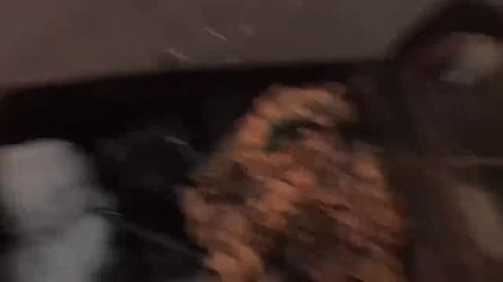 �������� ����� �� ������� ����������