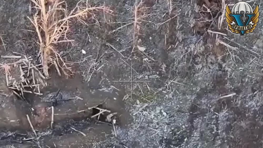 �������� �������� ����������� �������: ���������� ��������� � �������� �������� ��� �������� � ��������� ������� ���������������� ������ ��-62�, �������� "��������"
