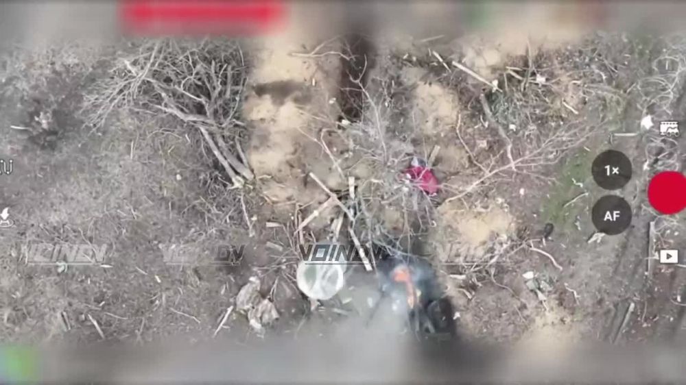 ��������� ���� 656 ��������������� ����� 29 ����������� ������������� ����� ���������� ���������� �������� ������ � ����� ����� �� ���������� �����������