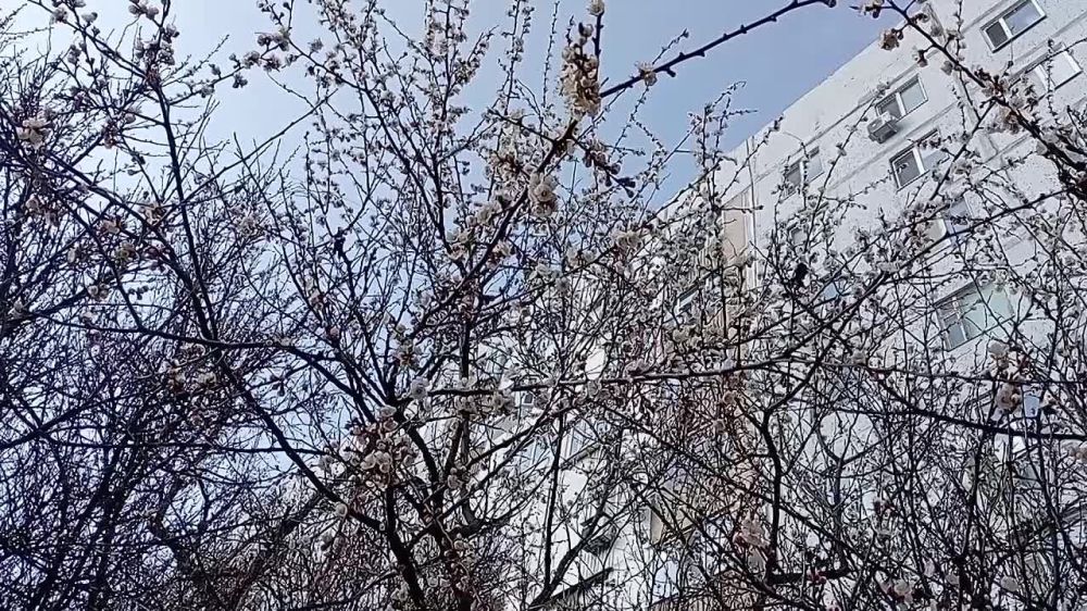 � ���������� ������ �������