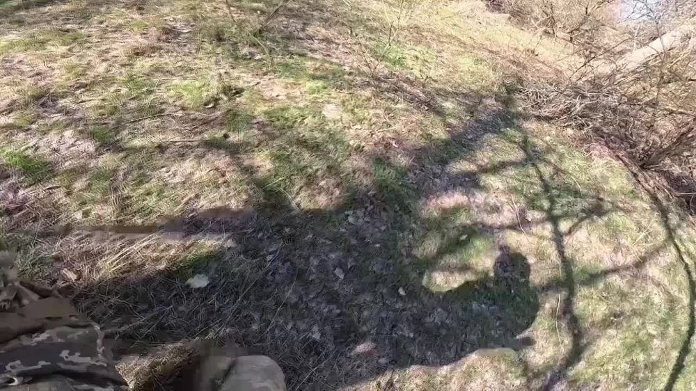 ���� ����� � ������������ ����������� ������������ ����� ������ � ���� ������ ������ �� ���������, ��������� ��� ��������