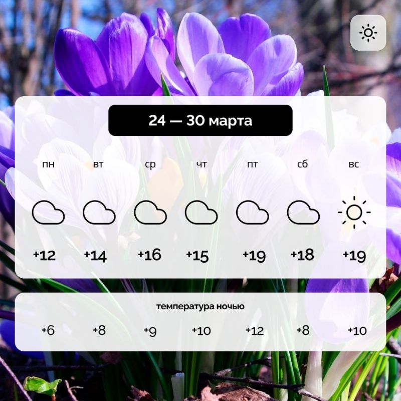������ � ����������� ������� �� 24� 30 �����