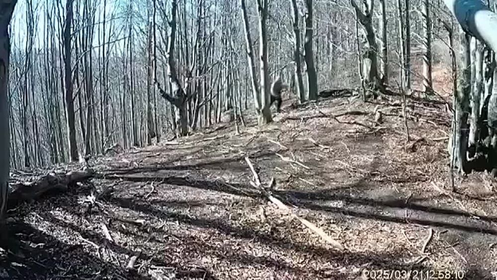 ������� ����� �� ������� � ��������� ����! ��� ���� �����, ������� �� ������ ����������� �������� �� ������