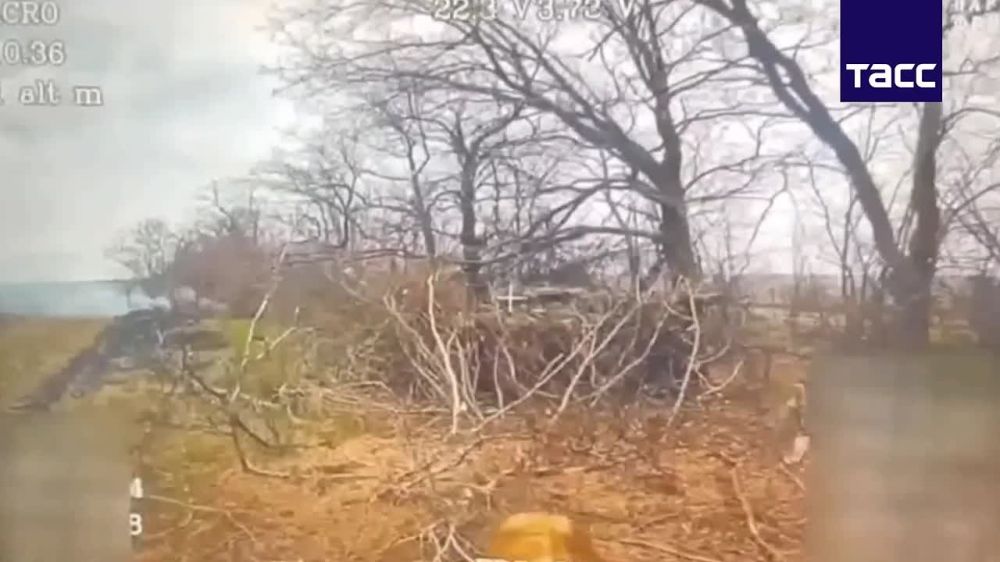 ������������� ����-37 "������" �������� ��������������� ���� ��� � ����������� �������
