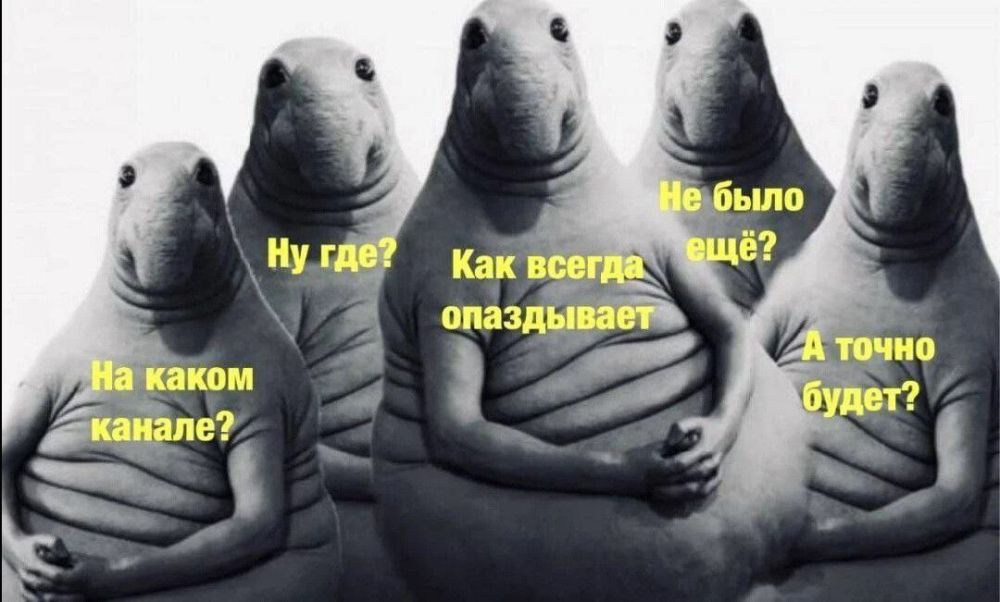 ����������.... ����� ����������� ������ � ��� � ��-����� �������� ������ � ����������, ������ ������
