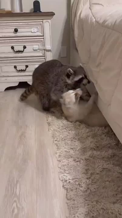 ������ ����, ������! �������� ��� ��� � ��������� ����������!