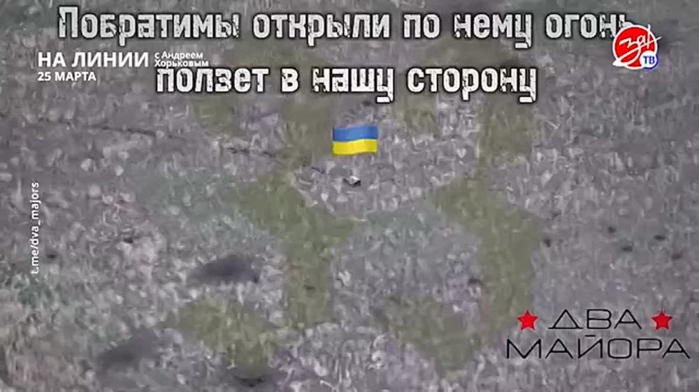 ��������� ���������� �� ������ ������ � ������� ��������� � ��������� ��� ����� | 25 �����