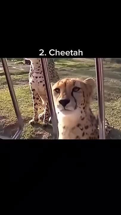 ������! ������ ����!. ������� ������� �� ���������� ��� �������� ������ ����������! ������������� ��������� ������� � �������������� � ���������� � ������! ����� ������� ����� ��������! � ����� ������� �� ����������))...