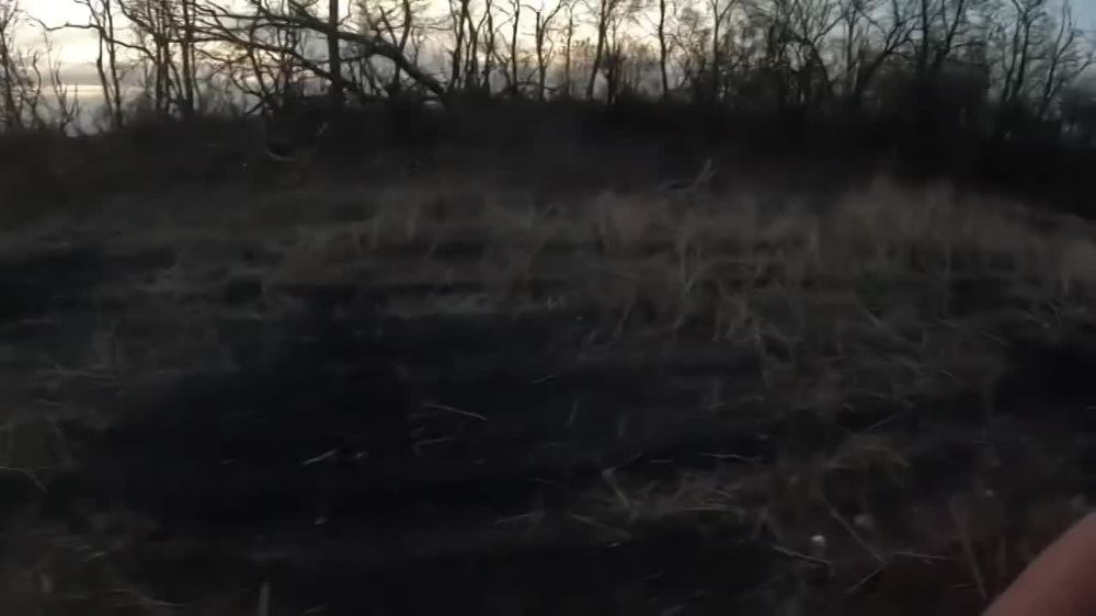 ��� ������ ����������� ������ ������� ��������� ������� ������ �� �����������