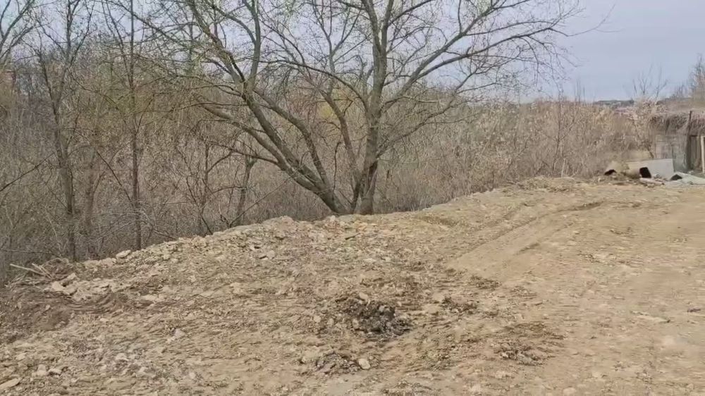 � ������������ ������������� ���������������� ���������� ��������� �� ����������� �����