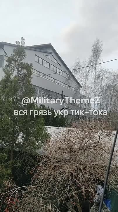 ������ ����� ����� ������ ������