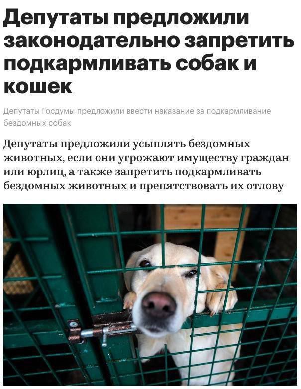 ��������� �������� ������������� ��������� �������� � �������� ������ � �������� � �������